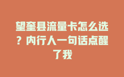 望奎县流量卡怎么选？内行人一句话点醒了我