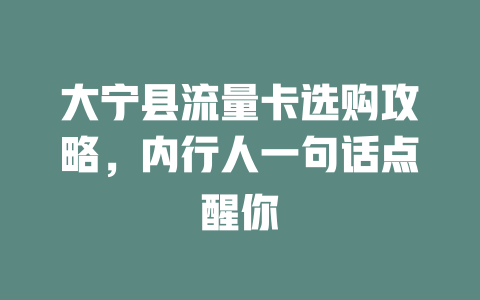 大宁县流量卡选购攻略，内行人一句话点醒你