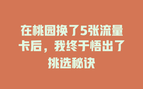 在桃园换了5张流量卡后，我终于悟出了挑选秘诀