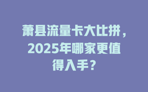萧县流量卡大比拼，2025年哪家更值得入手？