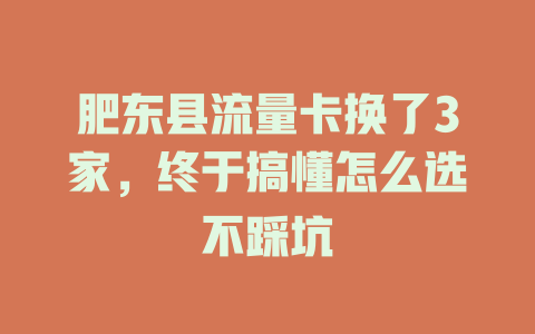 肥东县流量卡换了3家，终于搞懂怎么选不踩坑