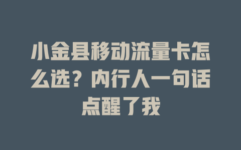 小金县移动流量卡怎么选？内行人一句话点醒了我