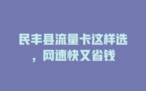 民丰县流量卡这样选，网速快又省钱