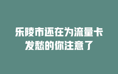 乐陵市还在为流量卡发愁的你注意了