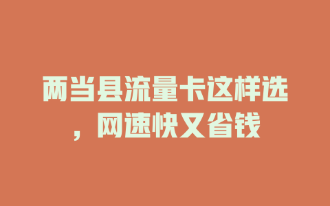 两当县流量卡这样选，网速快又省钱