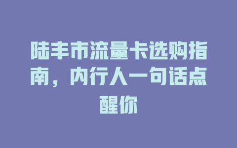 陆丰市流量卡选购指南，内行人一句话点醒你