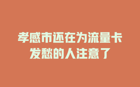 孝感市还在为流量卡发愁的人注意了