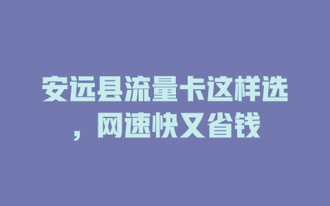 安远县流量卡这样选，网速快又省钱