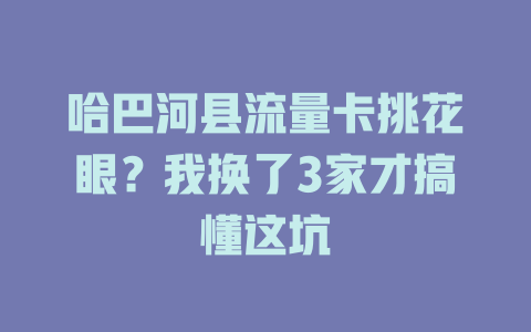 哈巴河县流量卡挑花眼？我换了3家才搞懂这坑
