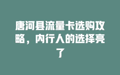 唐河县流量卡选购攻略，内行人的选择亮了