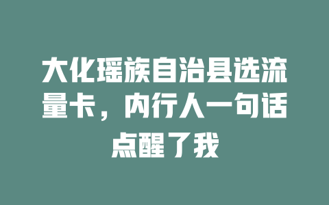 大化瑶族自治县选流量卡，内行人一句话点醒了我