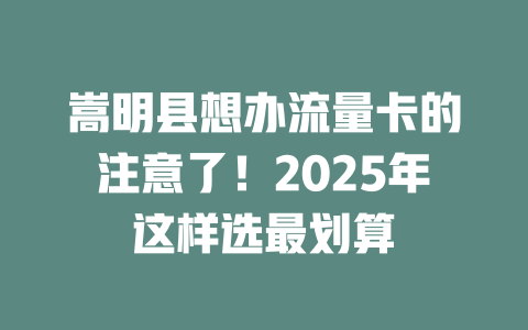 嵩明县想办流量卡的注意了！2025年这样选最划算