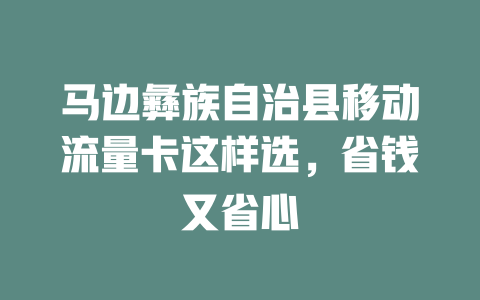 马边彝族自治县移动流量卡这样选，省钱又省心