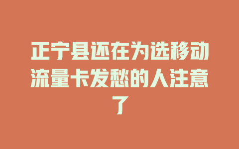 正宁县还在为选移动流量卡发愁的人注意了