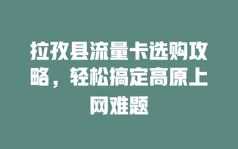 拉孜县流量卡选购攻略，轻松搞定高原上网难题