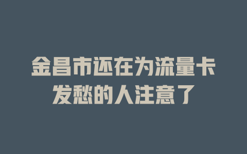 金昌市还在为流量卡发愁的人注意了