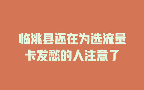 临洮县还在为选流量卡发愁的人注意了