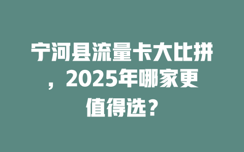 宁河县流量卡大比拼，2025年哪家更值得选？