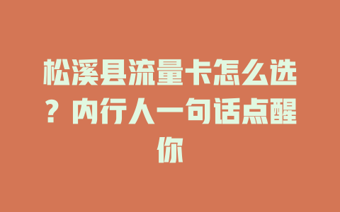 松溪县流量卡怎么选？内行人一句话点醒你