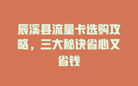 辰溪县流量卡选购攻略，三大秘诀省心又省钱