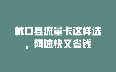 林口县流量卡这样选，网速快又省钱