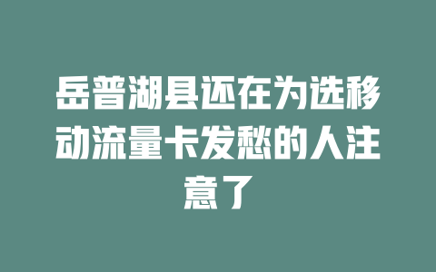 岳普湖县还在为选移动流量卡发愁的人注意了