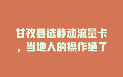 甘孜县选移动流量卡，当地人的操作绝了