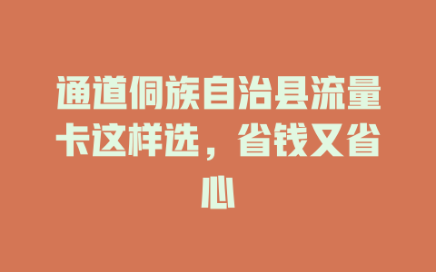 通道侗族自治县流量卡这样选，省钱又省心