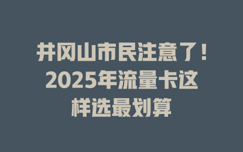 井冈山市民注意了！2025年流量卡这样选最划算