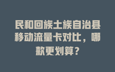 民和回族土族自治县移动流量卡对比，哪款更划算？