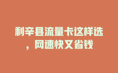 利辛县流量卡这样选，网速快又省钱