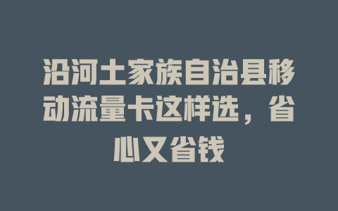 沿河土家族自治县移动流量卡这样选，省心又省钱