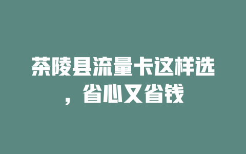 茶陵县流量卡这样选，省心又省钱