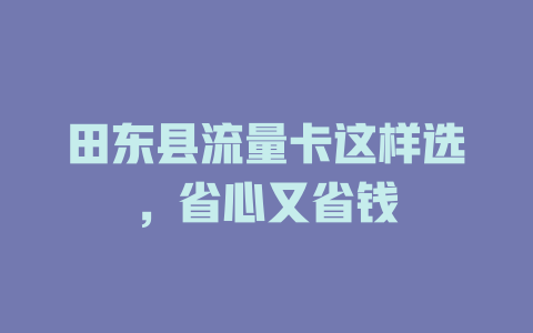 田东县流量卡这样选，省心又省钱