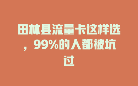 田林县流量卡这样选，99%的人都被坑过