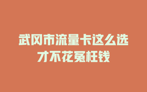 武冈市流量卡这么选才不花冤枉钱