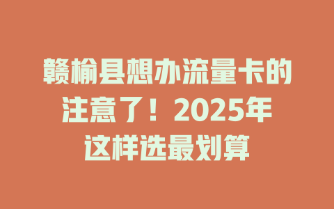 赣榆县想办流量卡的注意了！2025年这样选最划算