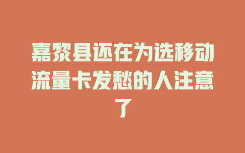 嘉黎县还在为选移动流量卡发愁的人注意了