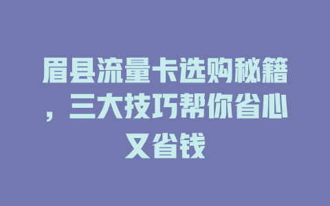 眉县流量卡选购秘籍，三大技巧帮你省心又省钱
