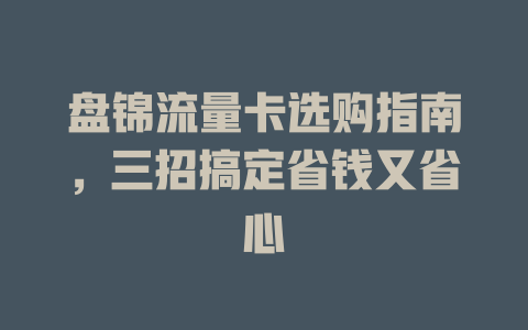 盘锦流量卡选购指南，三招搞定省钱又省心