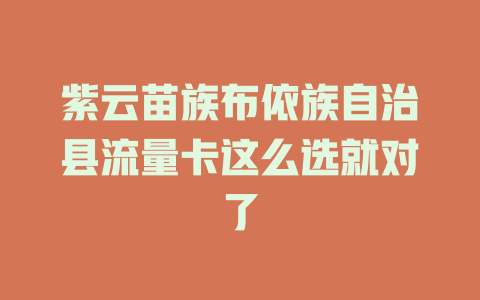 紫云苗族布依族自治县流量卡这么选就对了
