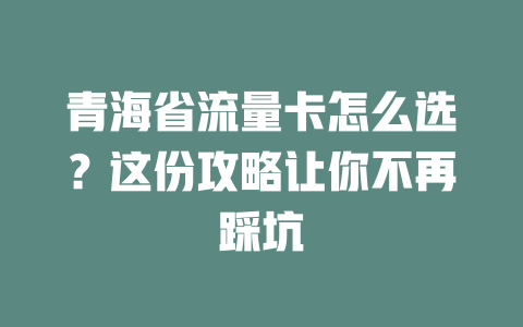青海省流量卡怎么选？这份攻略让你不再踩坑