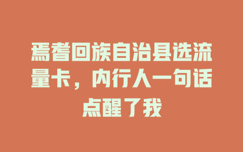 焉耆回族自治县选流量卡，内行人一句话点醒了我