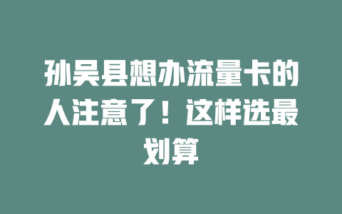 孙吴县想办流量卡的人注意了！这样选最划算