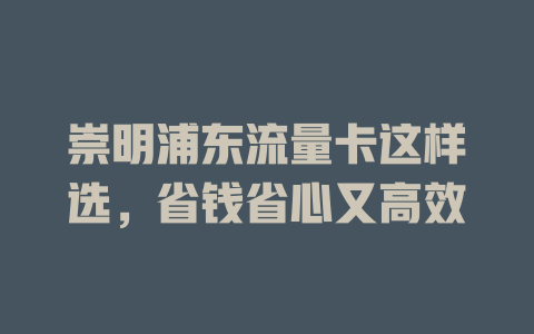 崇明浦东流量卡这样选，省钱省心又高效