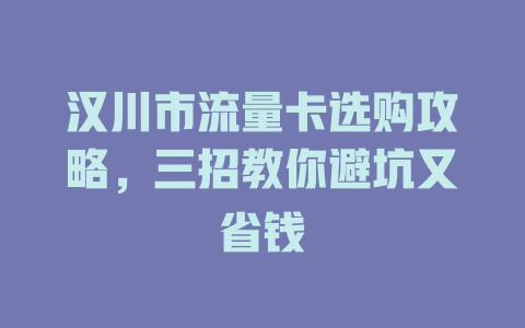 汉川市流量卡选购攻略，三招教你避坑又省钱