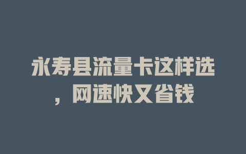 永寿县流量卡这样选，网速快又省钱