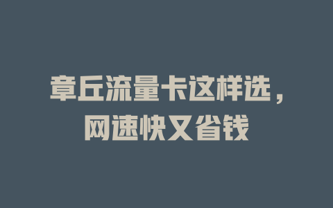 章丘流量卡这样选，网速快又省钱