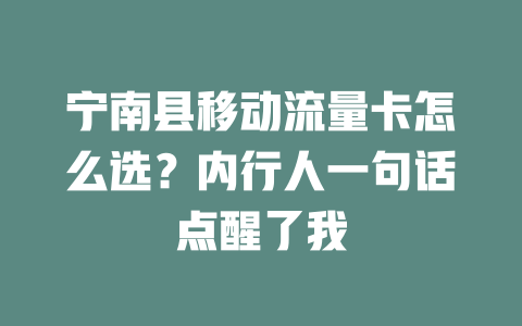 宁南县移动流量卡怎么选？内行人一句话点醒了我
