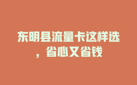 东明县流量卡这样选，省心又省钱